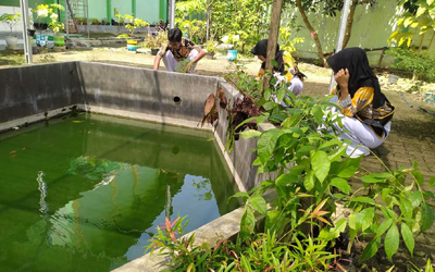 Sekolah Manfaatkan Air Hujan untuk Sistem Penyiraman Tetes, Aksi  Nyata Konservasi Air